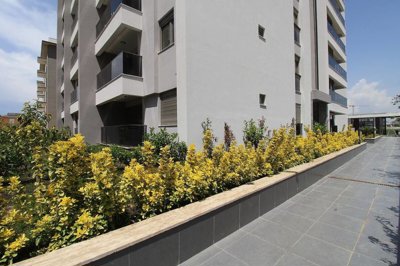 Exterior 5