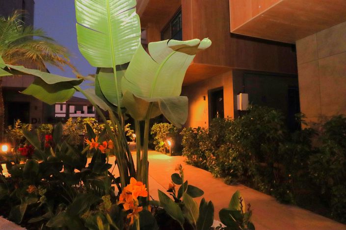 Image No.51-4 Bed House/Villa for sale