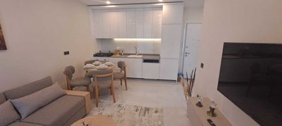 Interior 2