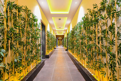 Exterior 9