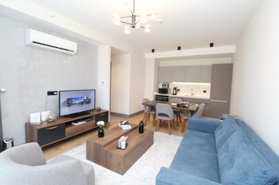 Interior 2