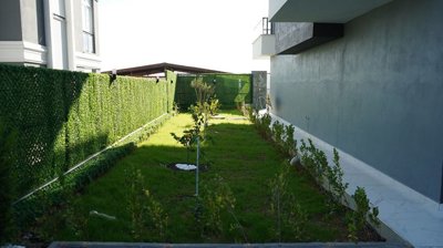 Exterior 9