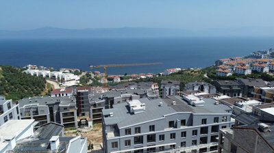 Exterior 4