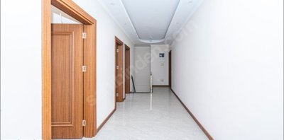 Interior 5