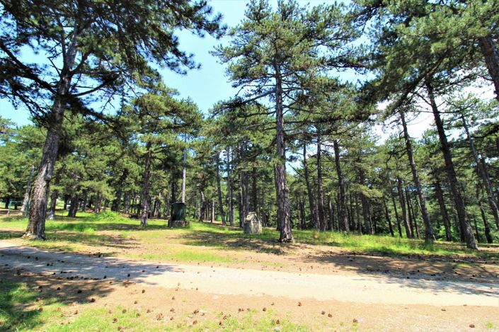 Image No.22-2 Bed House/Villa for sale