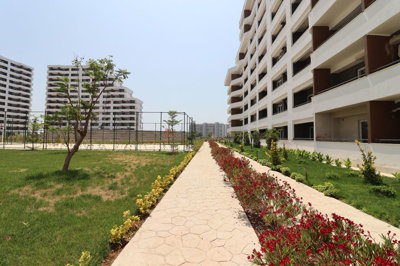Exterior 8