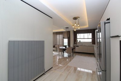 Interior 4