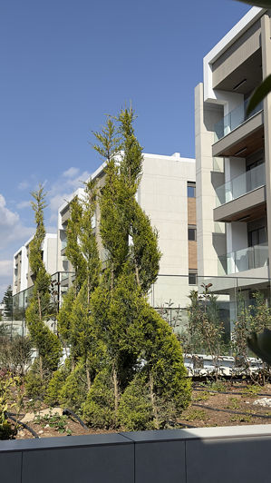 Image No.20-Appartement de 3 chambres à vendre à Uncali