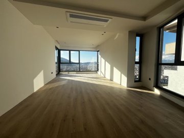 Interior 1