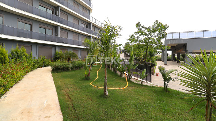 Image No.5-1 Bed Apartment for sale