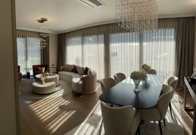 Interior 2