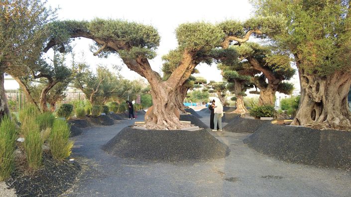 Image No.5-4 Bed Apartment for sale