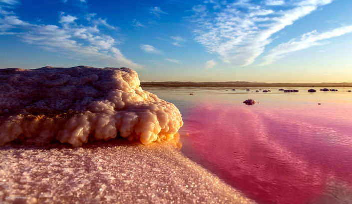 Image No.10-Appartement de 1 chambre à vendre à Torrevieja