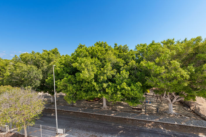 Image No.20-3 Bed House/Villa for sale