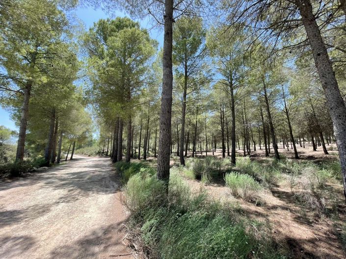 Image No.20-3 Bed House/Villa for sale