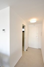 Interior 8
