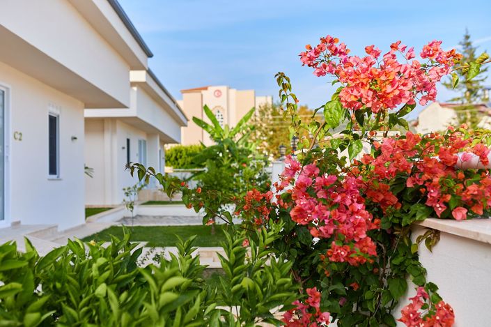 Image No.12-3 Bed House/Villa for sale