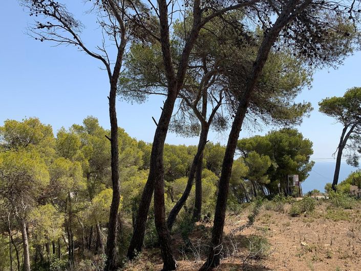 Image No.15-4 Bed House/Villa for sale