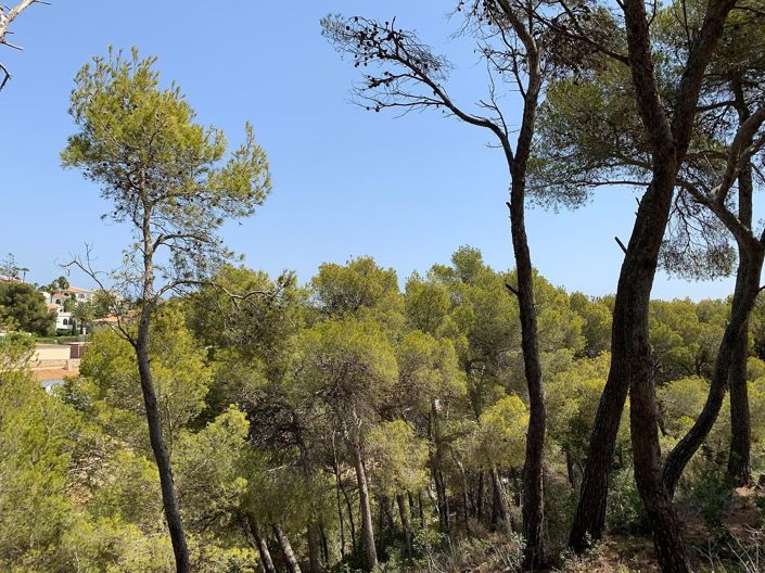 Image No.16-4 Bed House/Villa for sale