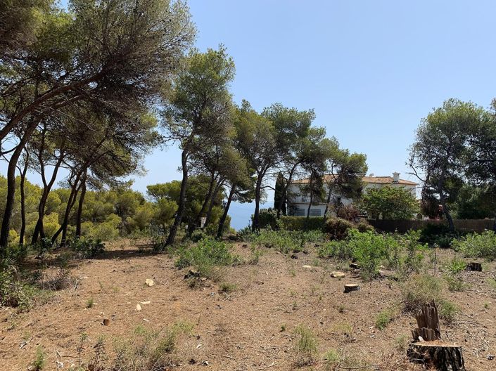 Image No.17-4 Bed House/Villa for sale