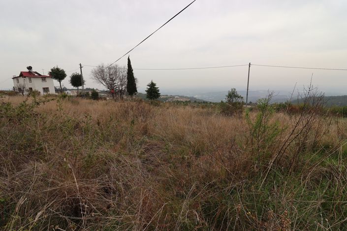 Image No.3-Terre à vendre à Ilemin