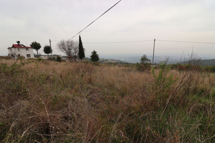 Image No.3-Land for sale