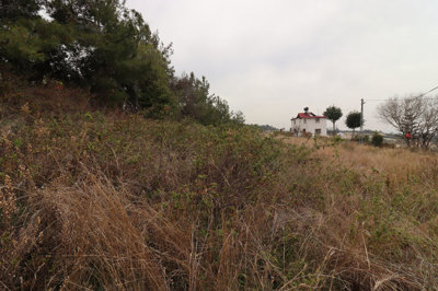 Exterior 7