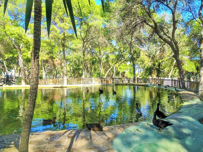 Image No.23-Appartement de 3 chambres à vendre à Guardamar del Segura