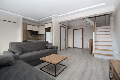 Interior 2