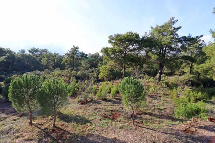 Image No.67-4 Bed House/Villa for sale