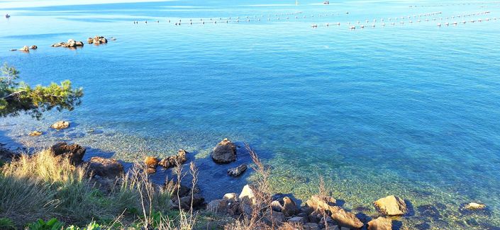 Image No.10-3 Bed Apartment for sale