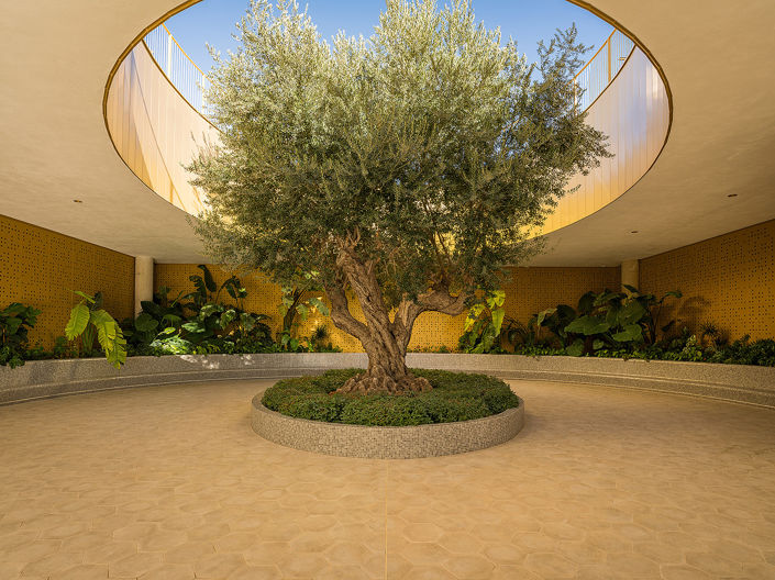 Image No.12-Appartement de 2 chambres à vendre à Benidorm