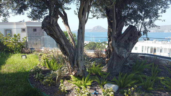 Image No.6-4 Bed House/Villa for sale