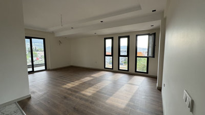 Interior 3