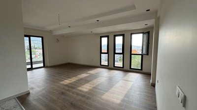 Interior 3