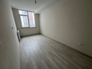 Interior 6