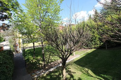 Exterior 13