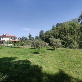 Exterior 1
