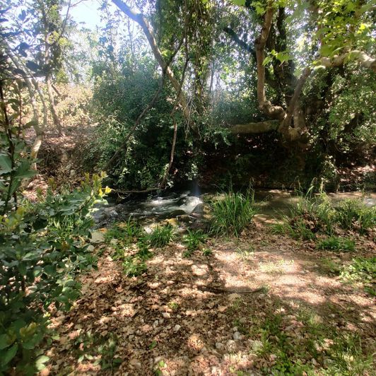 Image No.10-4 Bed House/Villa for sale