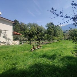 Exterior 7