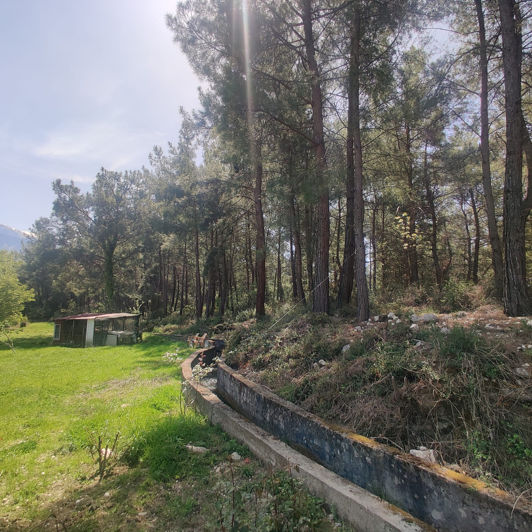 Image No.9-4 Bed House/Villa for sale