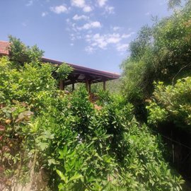 Exterior 14