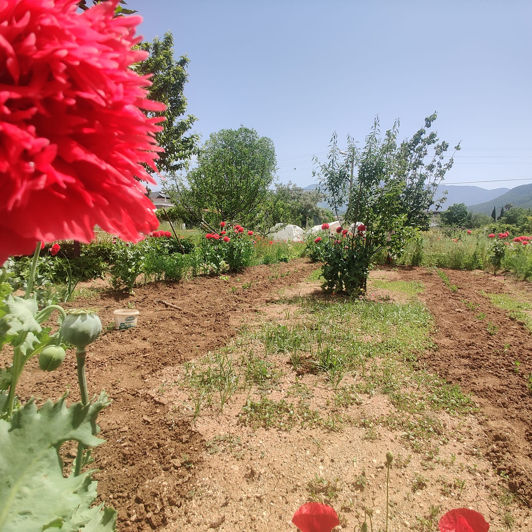 Image No.15-Maison / Villa de 6 chambres à vendre à Kayaköy