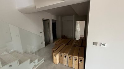 Interior 7