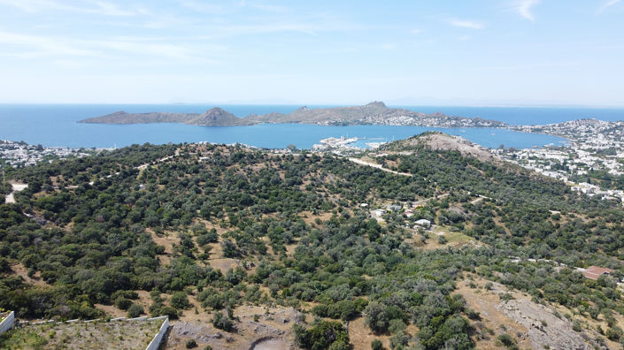 Image No.10-8 Bed House/Villa for sale