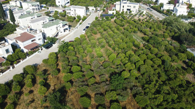 Exterior 2