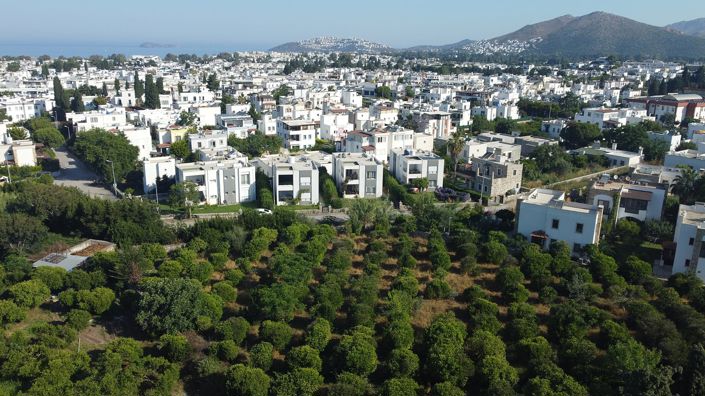 Image No.3-Land for sale