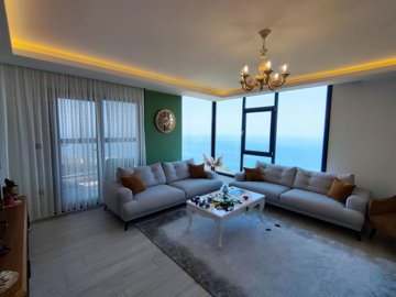 Interior 1