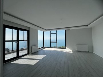 Interior 1
