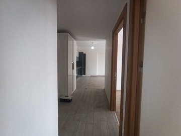 Interior 6